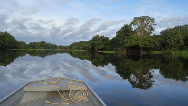 image from Amazon Forest and Amazon River