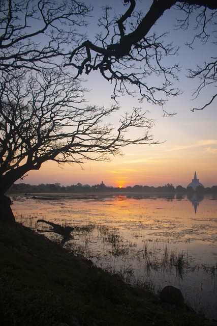 image from Workshops Anuradhapura