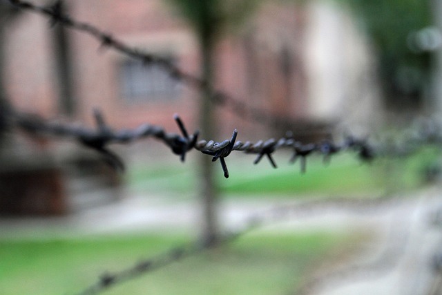 image from Auschwitz Memorial Muzeum Auschwitz