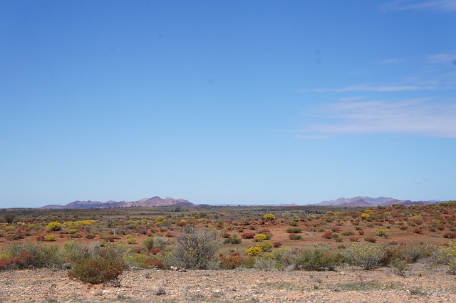 image from Australian Outback