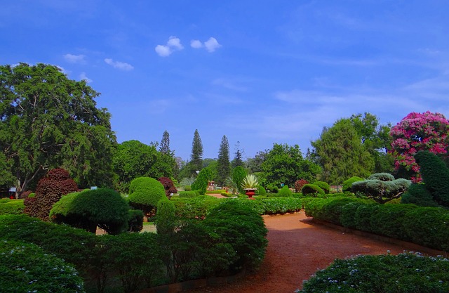 image from Walking Tours Bangalore