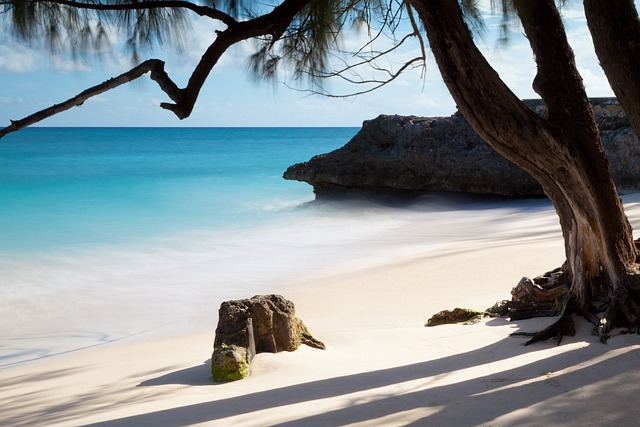 image from Barbados