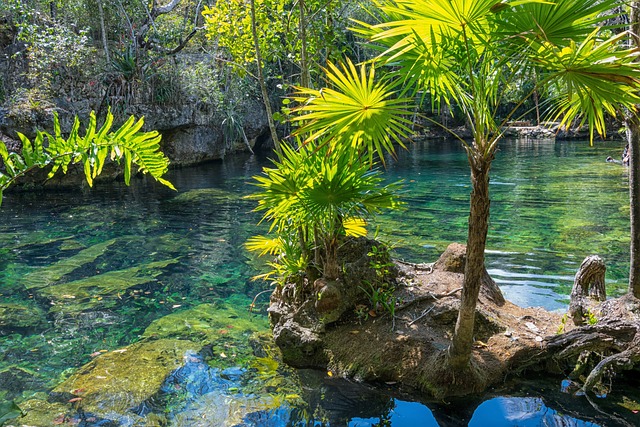 image from Bathe in a Cenote in the Yucatan Mexico