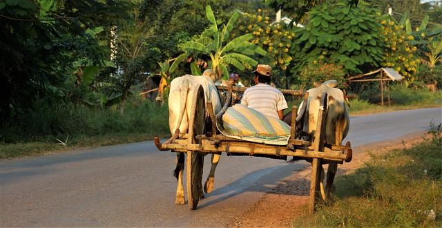 image from Outdoor Activities Battambang