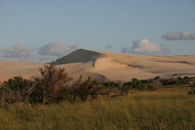 image from Bazaruto Archipelago, Mozambique