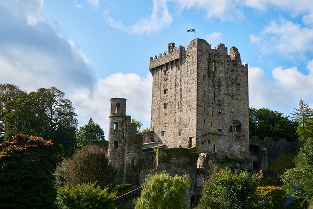 image from Blarney Stone, Cork