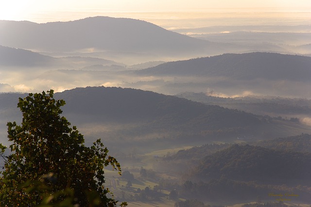 image from Blue Ridge Parkway