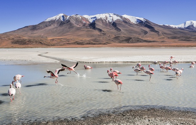 image from Bolivia-7-day-itinerary