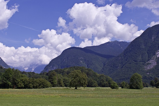 image from Bus Tours Bovec