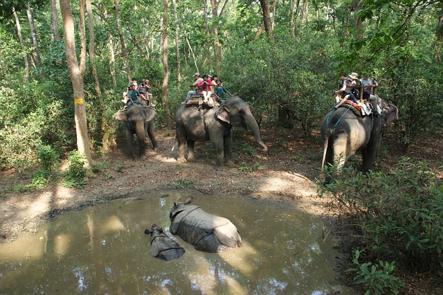 image from Chitwan National Park, Nepal