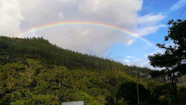 image from Sightseeing Cocle