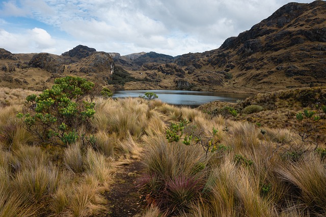 image from Ecuador 4 Day Itinerary