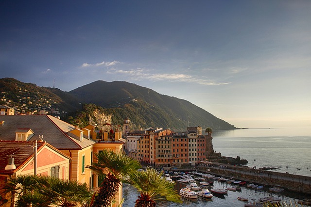 image from Genoa Le Strade Nuove and the System of the Palazzi Dei Rolli