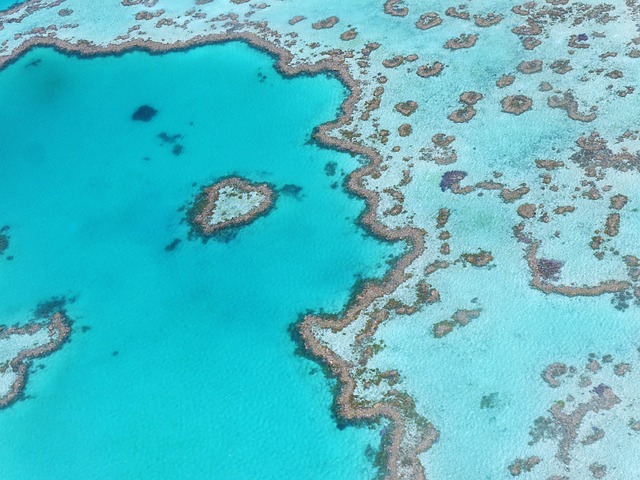 image from Great Barrier Reef Australia