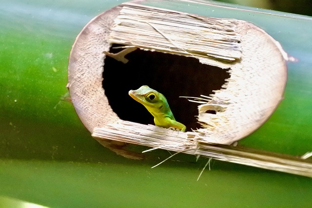 image from Grenada-3-day-itinerary