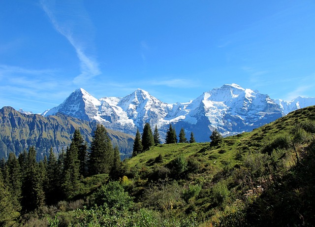 image from Bus Tours Grindelwald