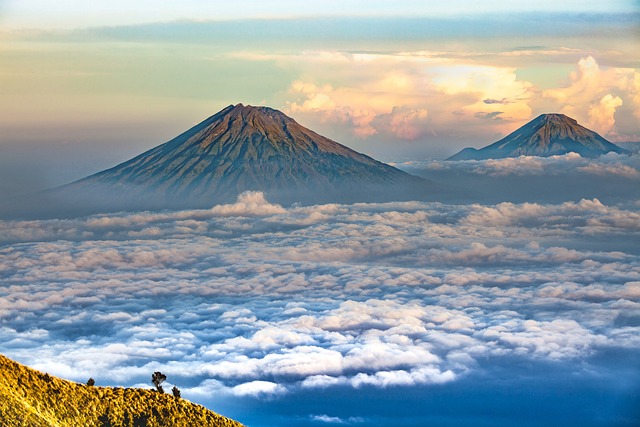 image from Gunung Leuser National Park Sumatra Indonesia