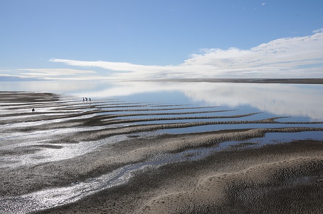 image from Adventure Tours Hervey Bay