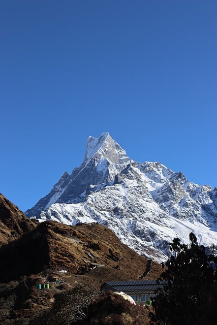 image from Himalayas