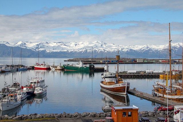 image from Husavik Boat Tours