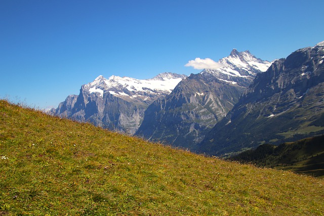 image from Jungfraujoch Top of Europe