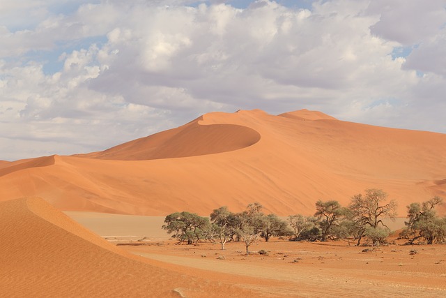 image from Kolmanskop, Namibia