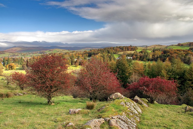 image from Lake Windermere