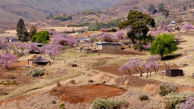 image from Lesotho 7 Day Itinerary