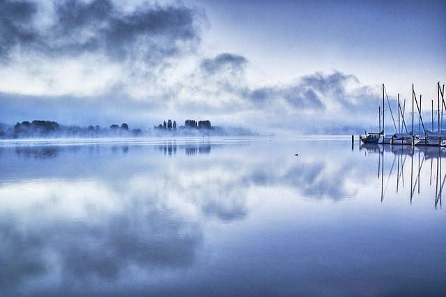 image from Mainau Island, Lake Constance