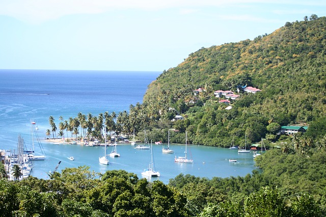 image from Adventure Tours Marigot