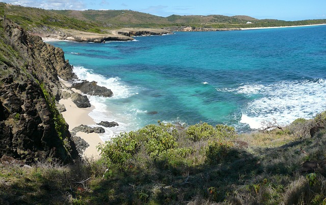 image from Workshops Martinique