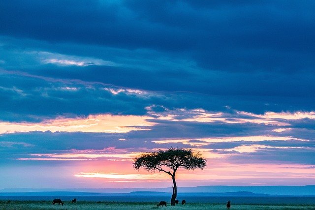 image from Masai Mara Kenya