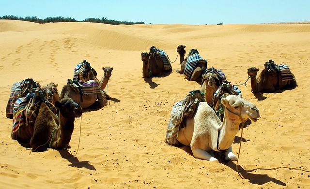 image from Matmata and Tataouine, Tunisia