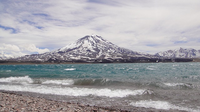 image from Animal Activities Mendoza