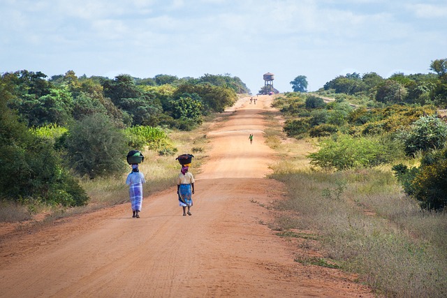 image from Mozambique 5 Day Itinerary