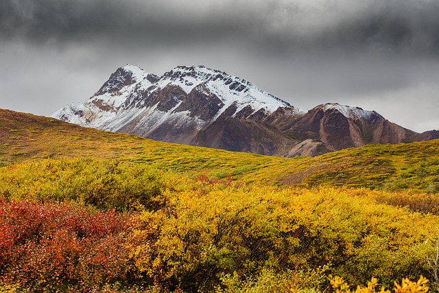 image from Mt Mckinley Alaska