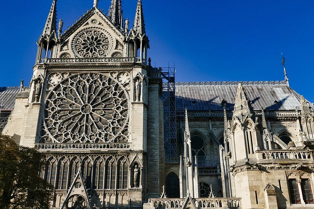 image from Notre Dame Cathedral, Paris