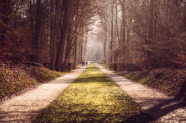 image from Day Trips Orange Walk