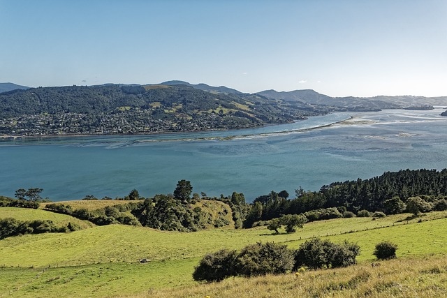 image from Otago Peninsula