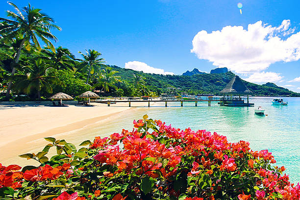 image from Papeete Bora Bora 4 Day Itinerary