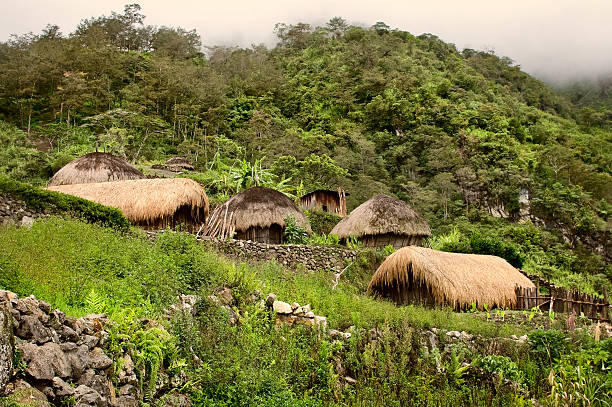 image from Papua, New Guinea-nature-spots