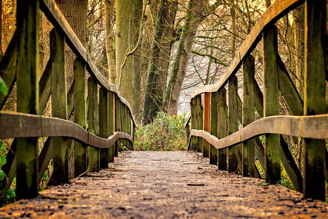 image from Pooh Bridge, Ashdown Forest