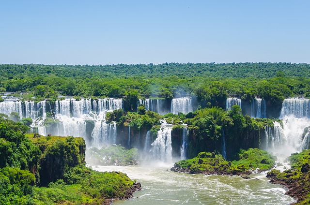 image from Animal activities Puerto Iguazu