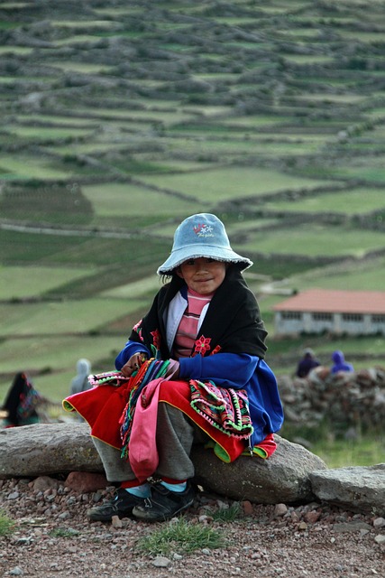 image from Workshops Puno