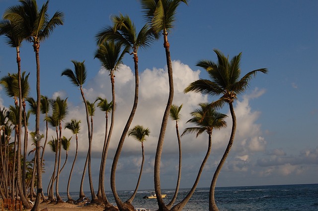 image from Punta Cana, Domincan Republic