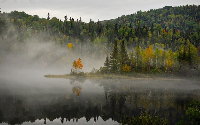 image from Workshops Quebec