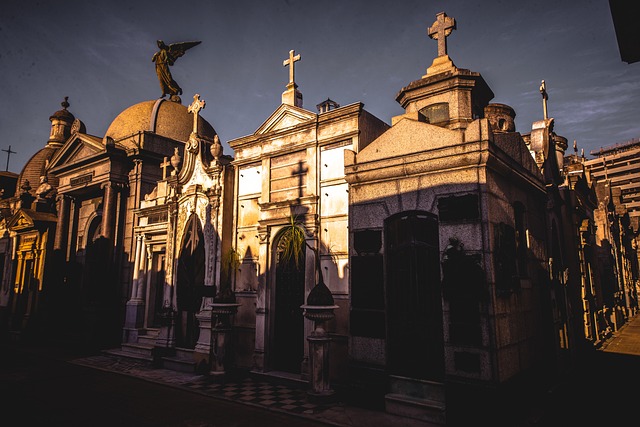 image from Recoleta