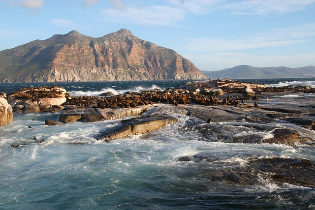 image from Robben Island, South Africa