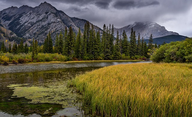 image from Rocky Mountain National Park, U.S.