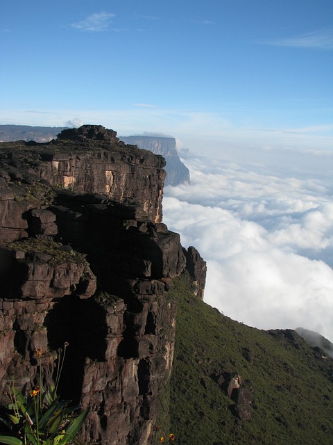 image from Roraima